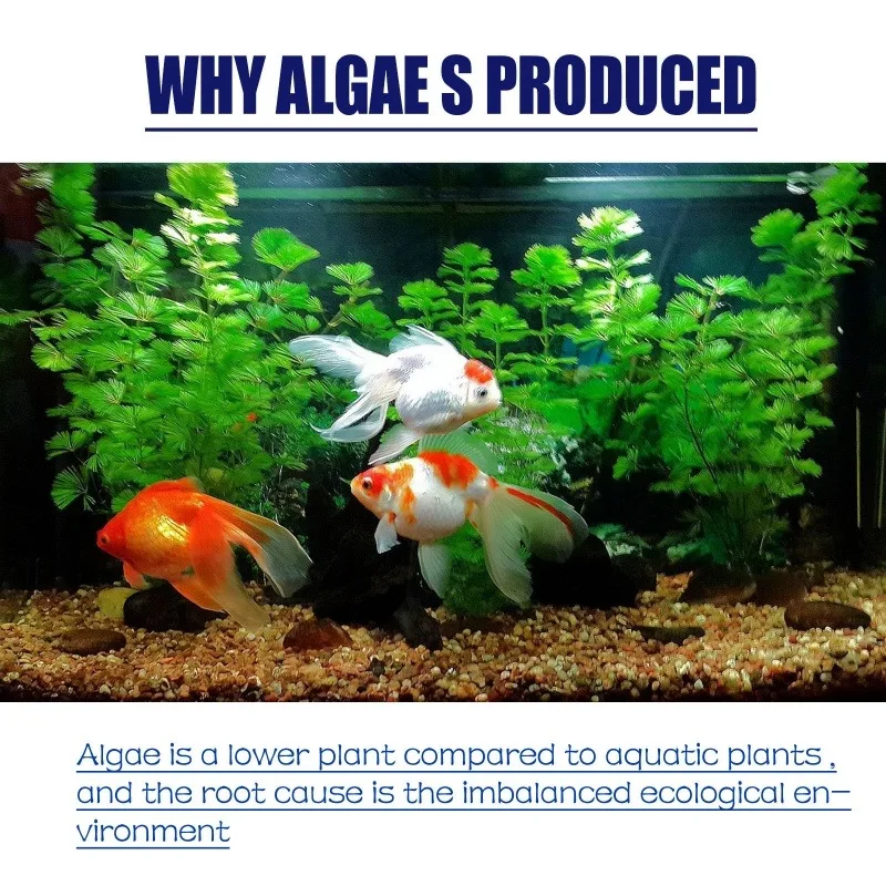 50g High Efficiency Algaecide  - огляд і ціна Aquarium Plant Liquid Fertilizer