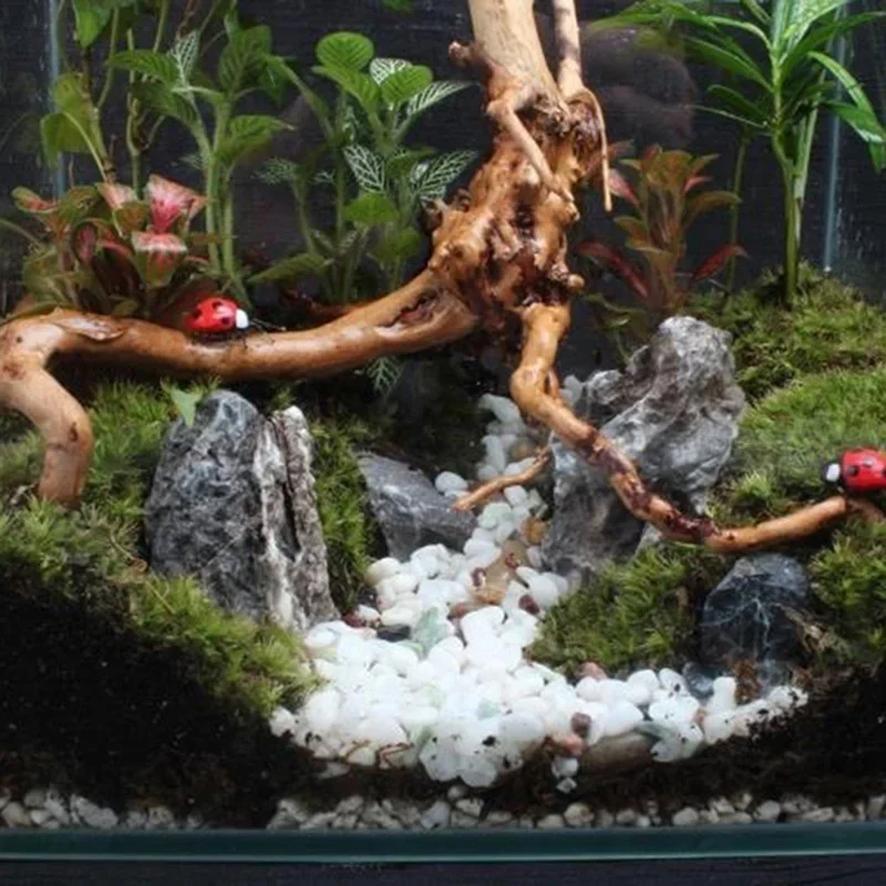 Natural Tree Trunk Driftwood A - огляд і ціна Aquarium Planted Tree