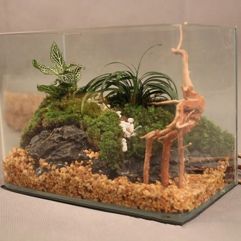 Natural Tree Trunk Driftwood A - огляд і ціна Aquarium Planted Tree