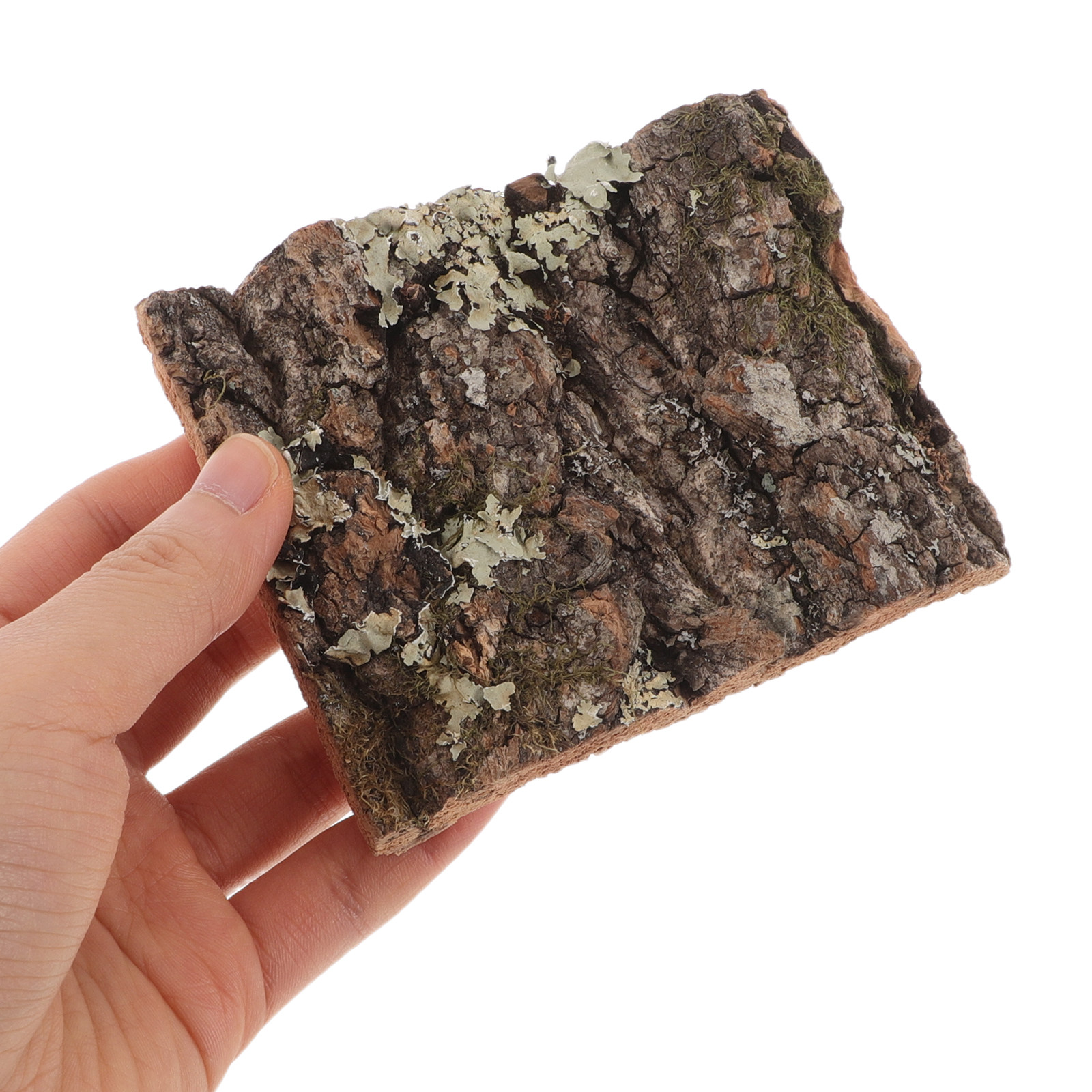 Cork Bark Tree Bark for Reptil - огляд і ціна Aquarium Planted Background