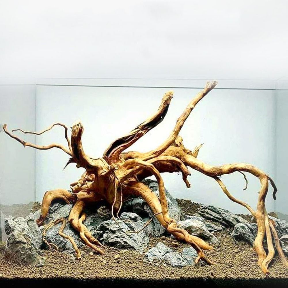 20-25CM Large Aquarium Driftwo - огляд і ціна Aquarium Planted Tree