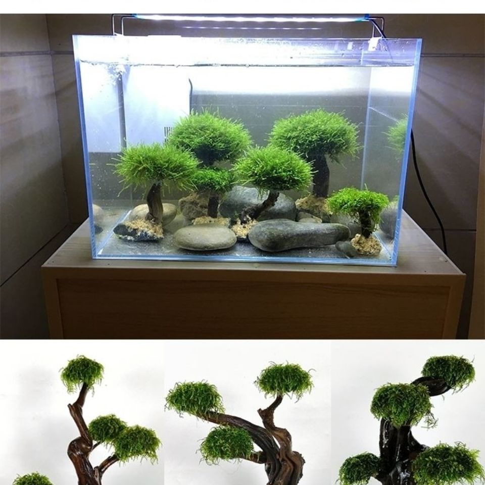 Fish tank greening wood frame  - огляд і ціна Aquarium Planted Tree