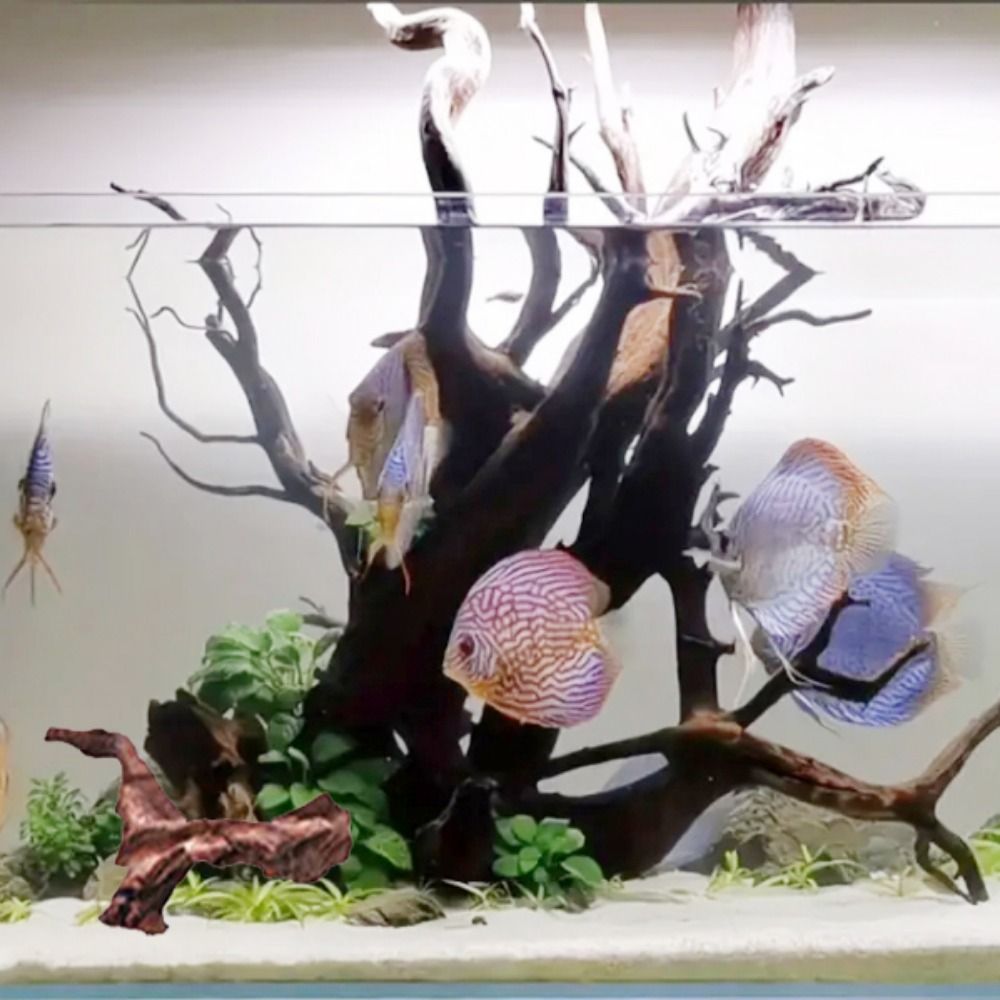 Creative Irregular Shape Coral - огляд і ціна Aquarium Planted Tree