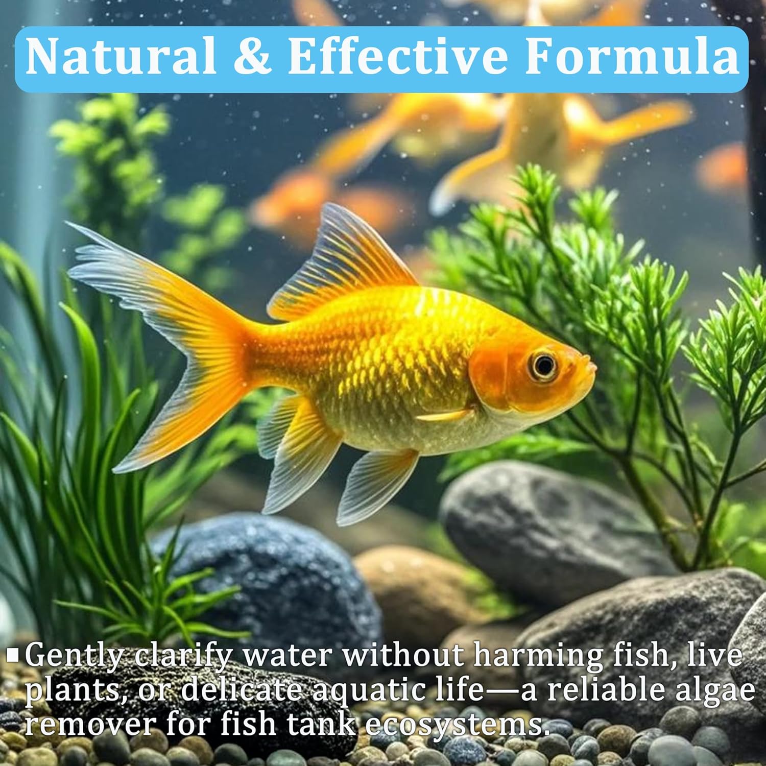 Aquarium Water Purification Ta - огляд і ціна Aquarium Plant Liquid Fertilizer