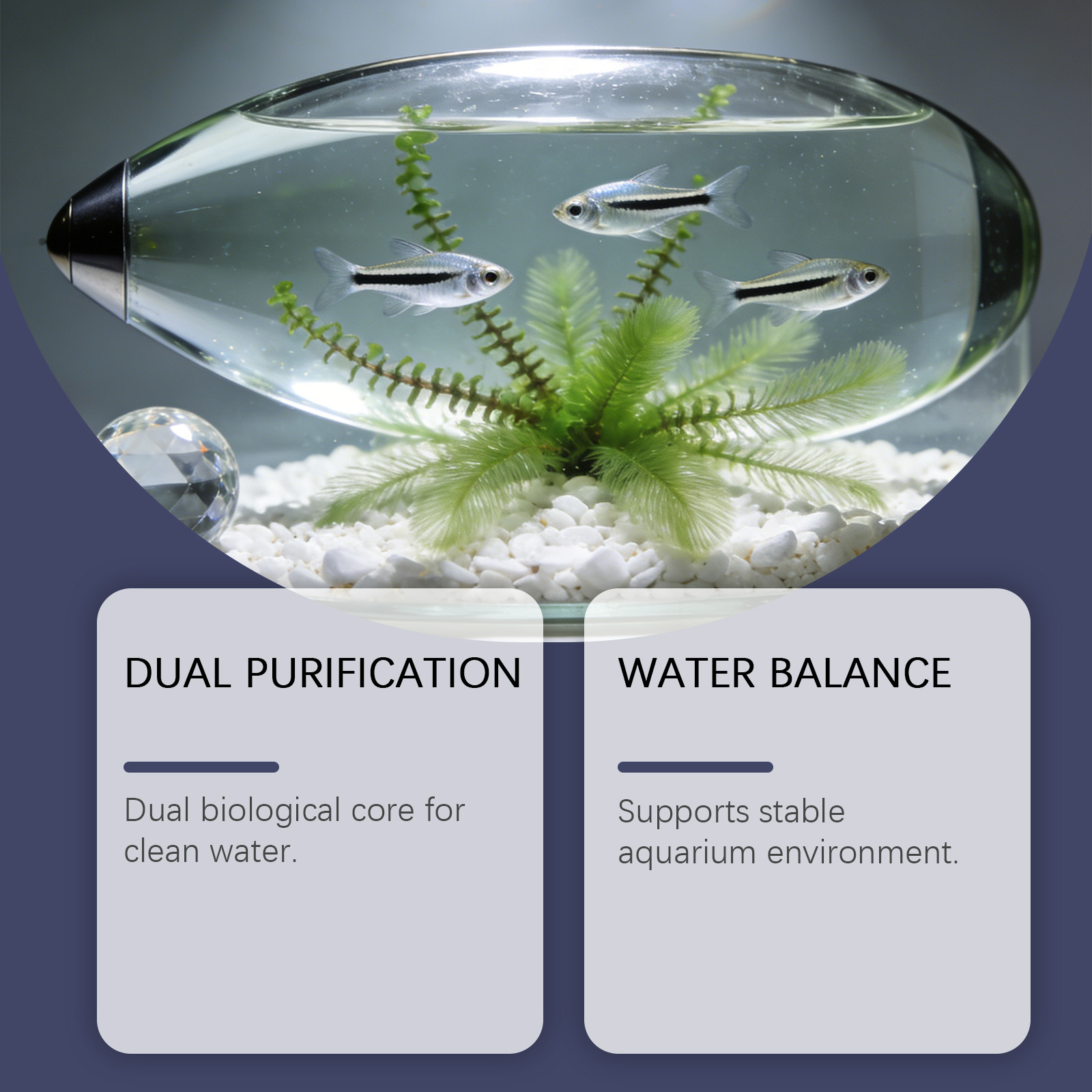 Algae Remover Tablets for Aqua - огляд і ціна Planted Aquarium Cloudy Water