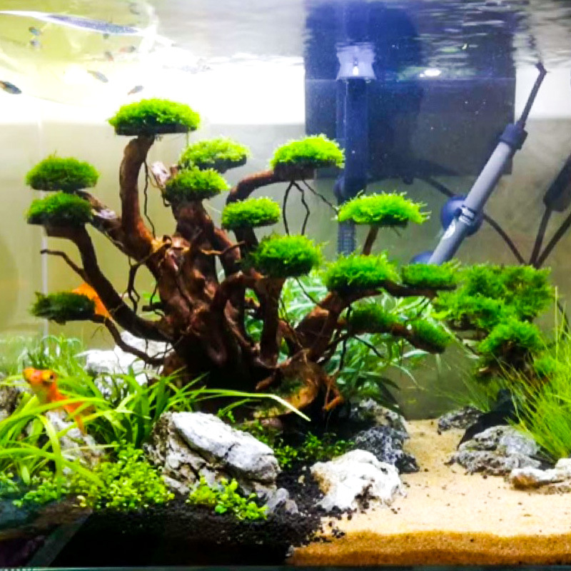 Aquarium Landscaping Moss Tree - огляд і ціна Aquarium Planted Tree