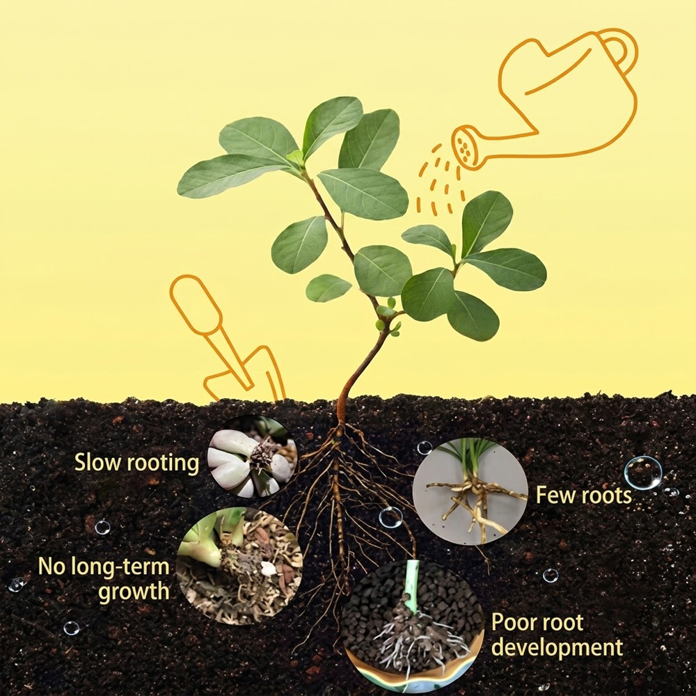 Succulent Rooting Liquid Plant - огляд і ціна Aquarium Plant Liquid Fertilizer